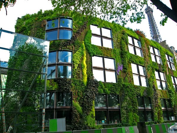 Vertical Garden